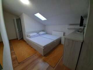 Гостевой дом Pensiunea Alpina Casi & Spa Пэлтиниш Двухместный номер с 1 кроватью или 2 отдельными кроватями-10