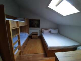 Гостевой дом Pensiunea Alpina Casi & Spa Пэлтиниш Двухместный номер с 1 кроватью или 2 отдельными кроватями-12