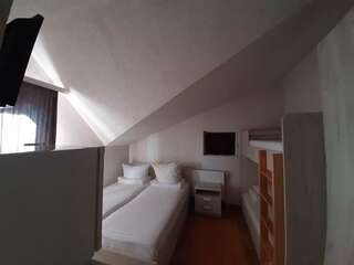 Гостевой дом Pensiunea Alpina Casi & Spa Пэлтиниш Двухместный номер с 1 кроватью или 2 отдельными кроватями-3